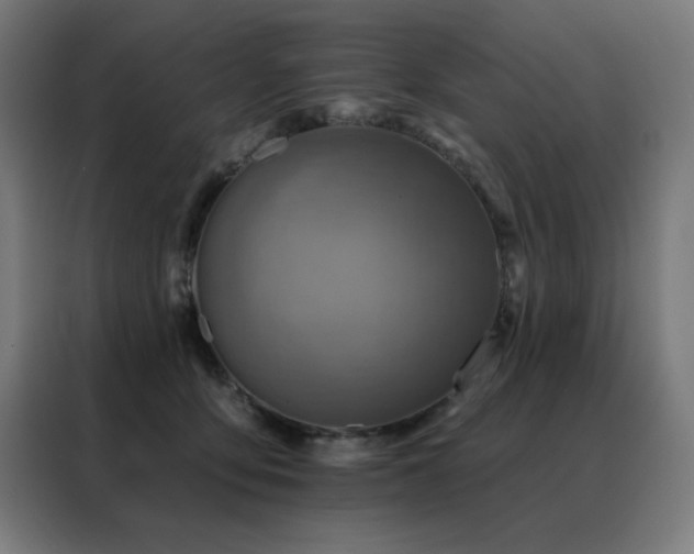 X0000088390419200705221118