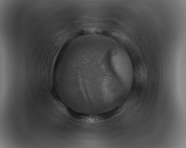 X0000088390420200705221118