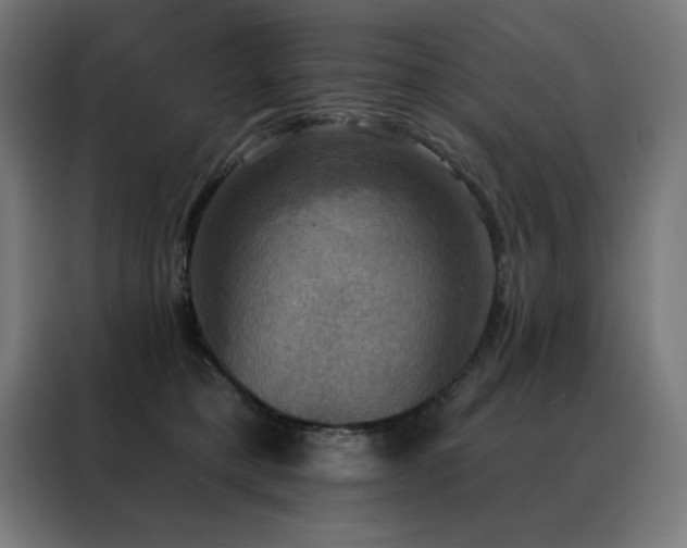 X0000088390421200705221118