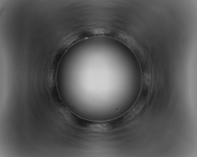 X0000088390422200705221118