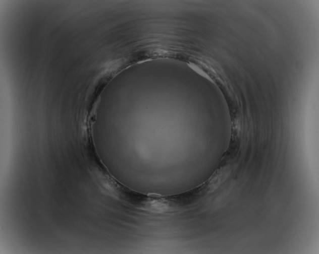 X0000088390423200705221118