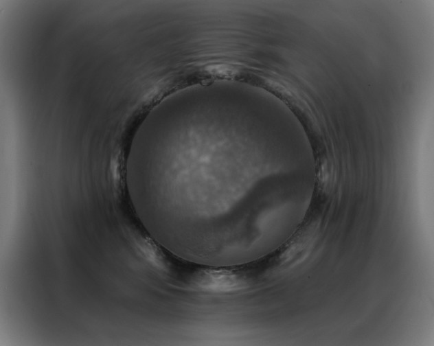 X0000088390424200705221118