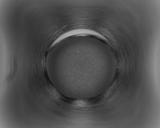 X0000088390425200705221118