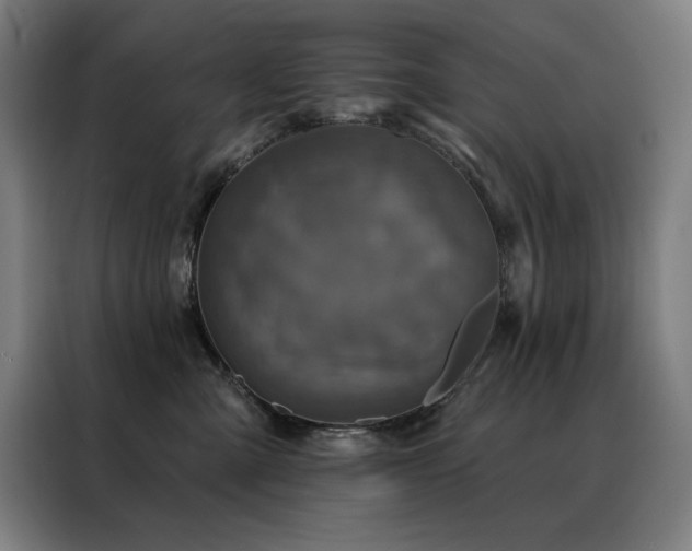 X0000088390427200705221118