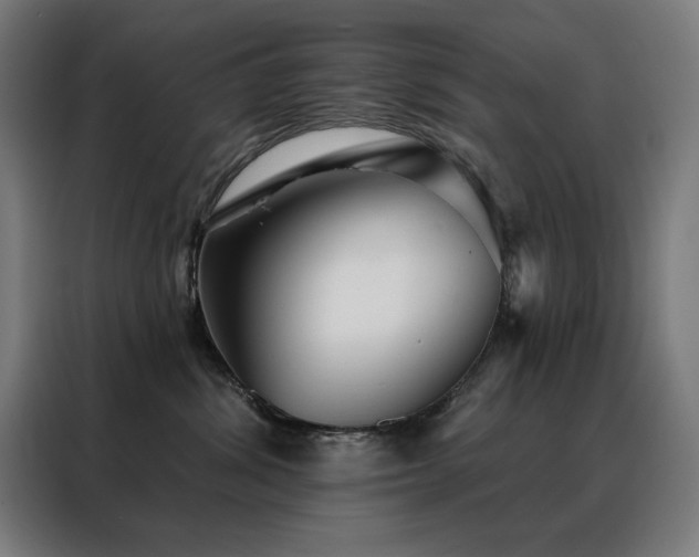 X0000088390428200705221118