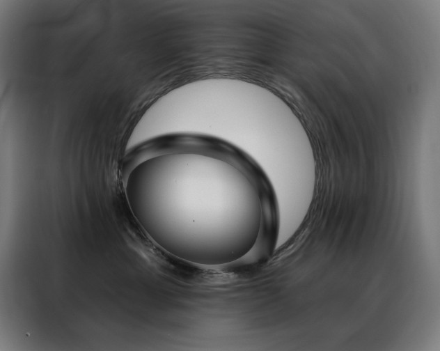 X0000088390429200705221118