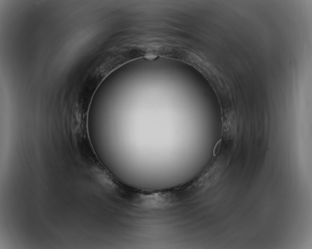 X0000088390430200705221118