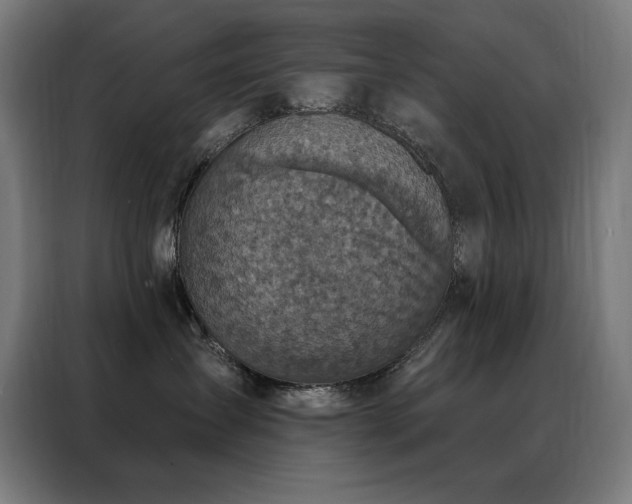 X0000088390431200705221118