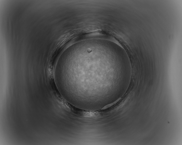 X0000088390432200705221118