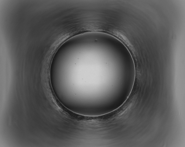 X0000088390433200705221117