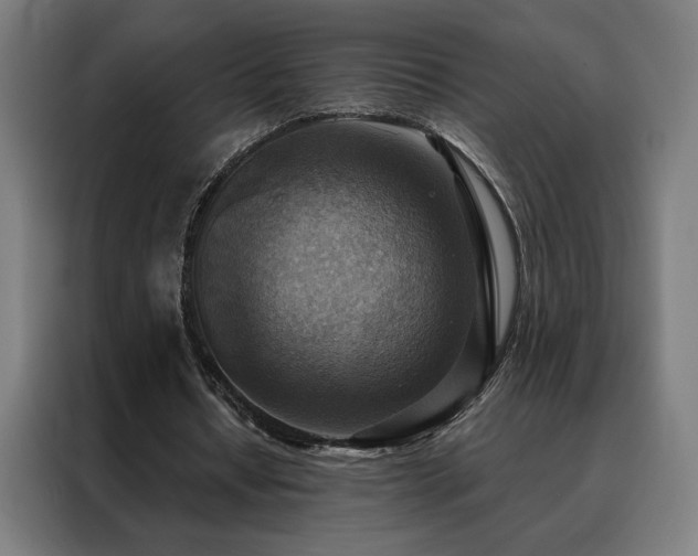 X0000088390434200705221117