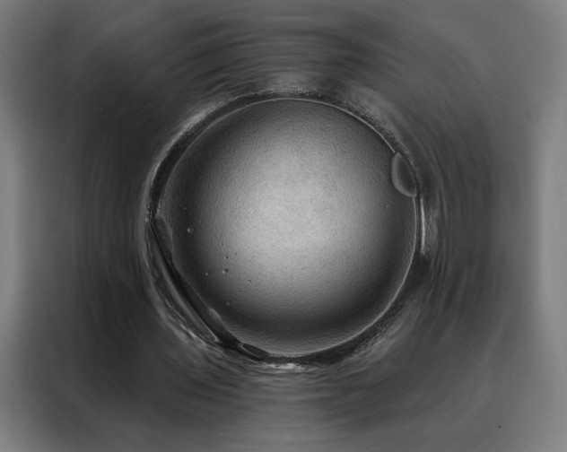 X0000088390435200705221117