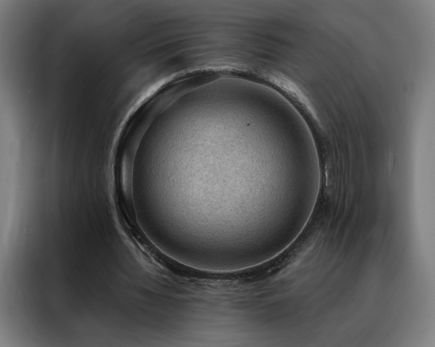 X0000088390436200705221117