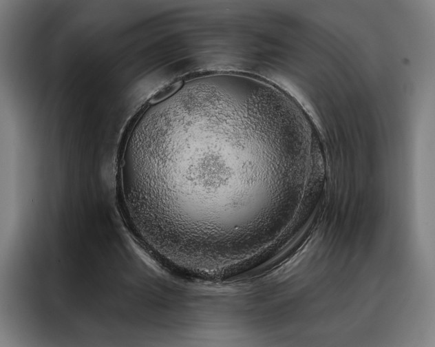 X0000088390437200705221117