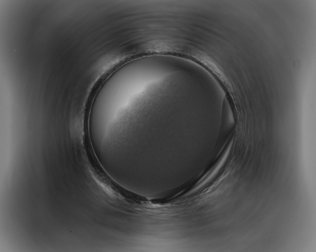 X0000088390438200705221117