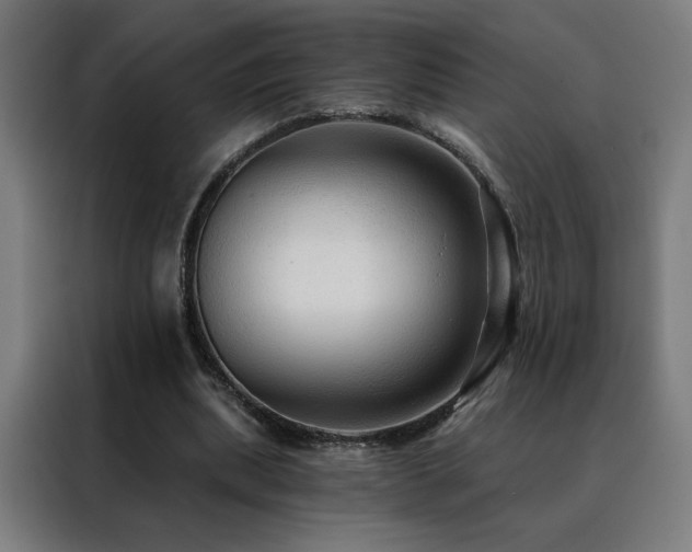 X0000088390439200705221117