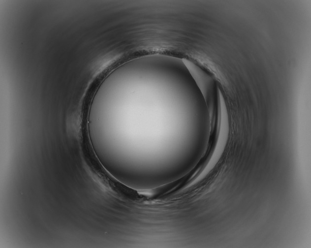 X0000088390440200705221117