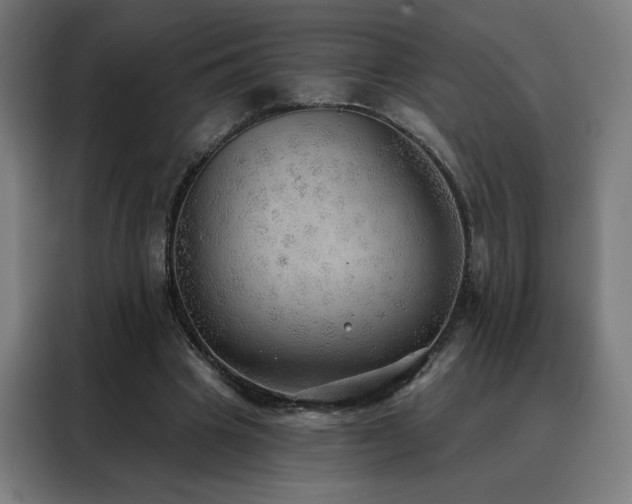 X0000088390441200705221118