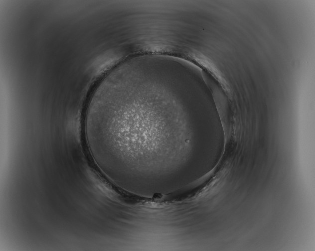 X0000088390442200705221118