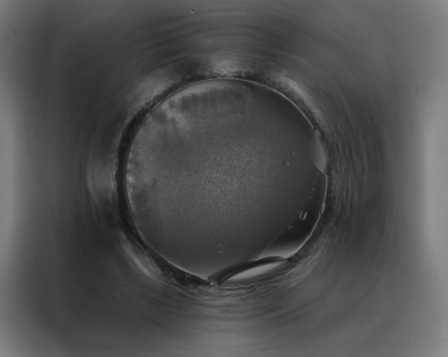 X0000088390443200705221118