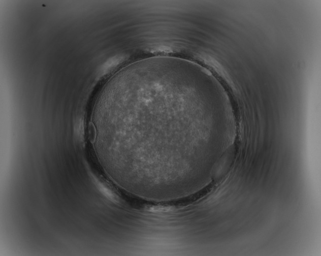 X0000088390444200705221118