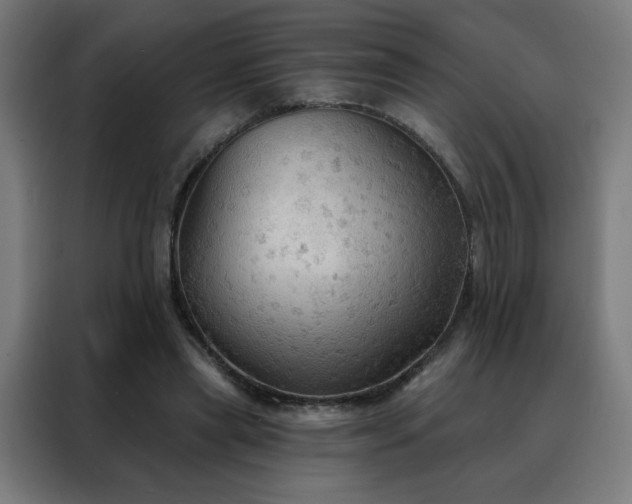 X0000088390445200705221118