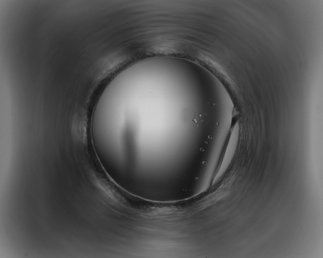 X0000088390446200705221118