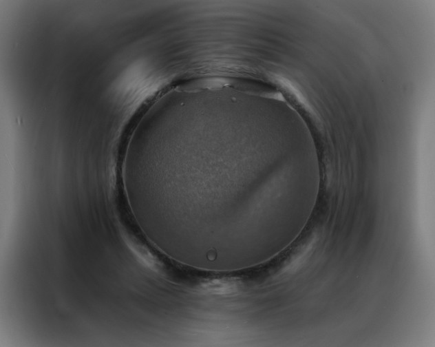 X0000088390447200705221118