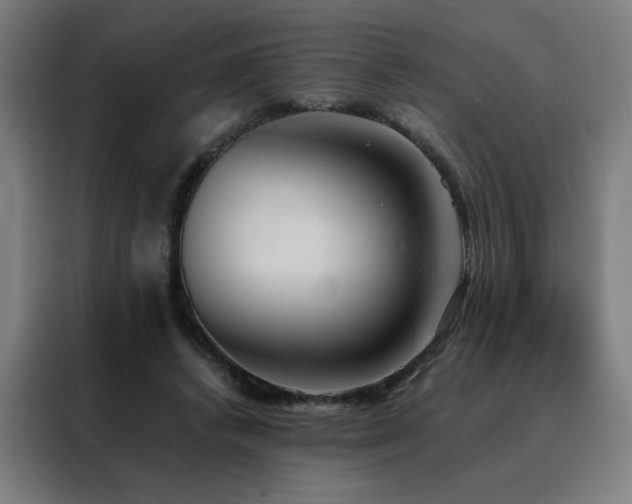 X0000088390448200705221118