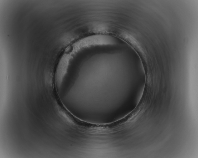 X0000088390449200705221118