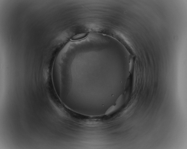 X0000088390451200705221118