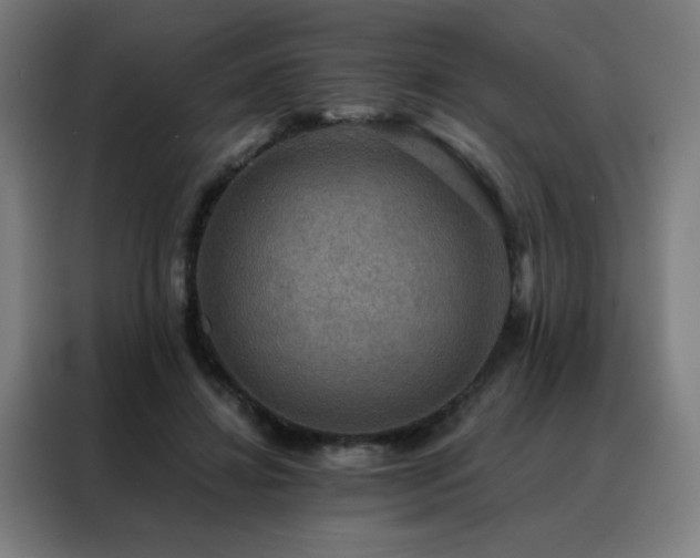 X0000088390452200705221118