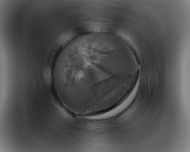 X0000088390453200705221118