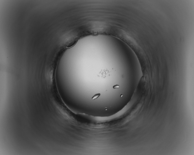 X0000088390454200705221118