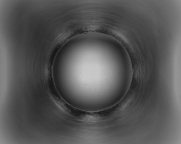 X0000088390455200705221118