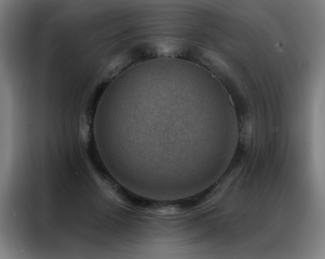 X0000088390456200705221118