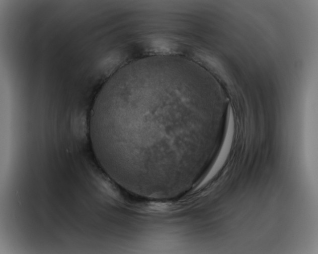 X0000088390457200705221118