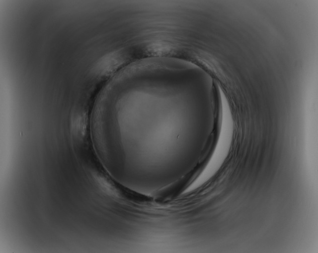 X0000088390458200705221118