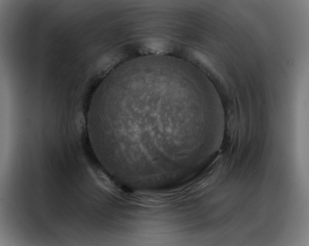 X0000088390459200705221118