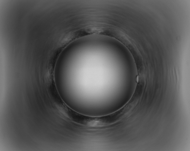 X0000088390460200705221118