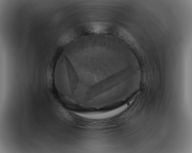 X0000088390461200705221118