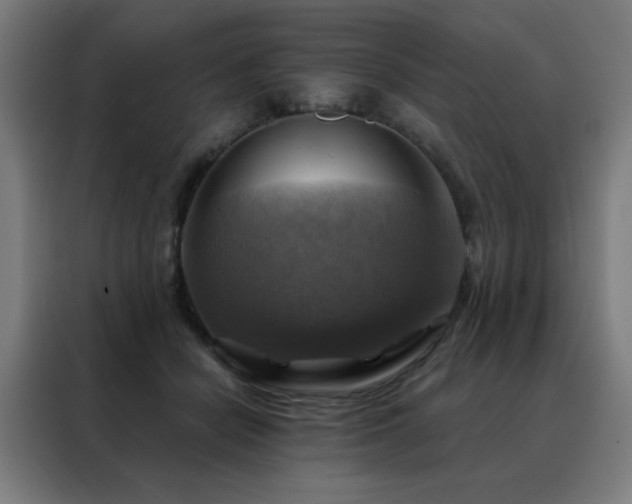 X0000088390462200705221118