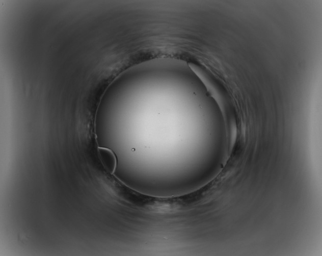 X0000088390464200705221118