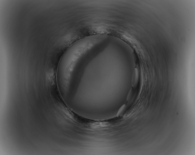 X0000088390465200705221118