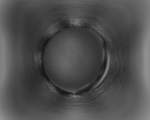 X0000088390466200705221118