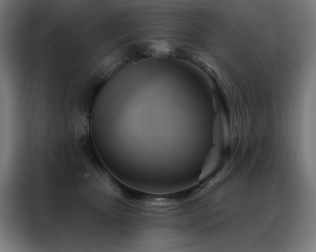 X0000088390467200705221118