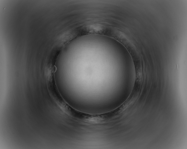 X0000088390468200705221118