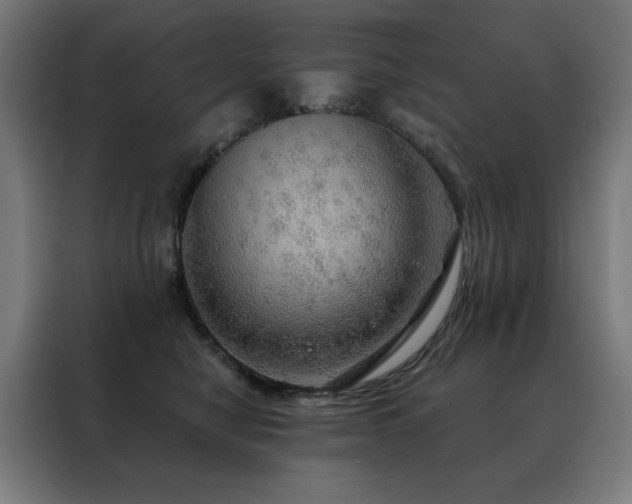 X0000088390470200705221118