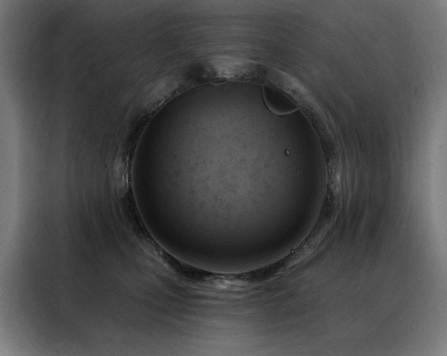 X0000088390471200705221118