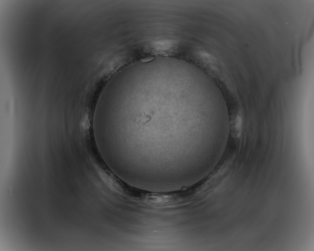 X0000088390472200705221118